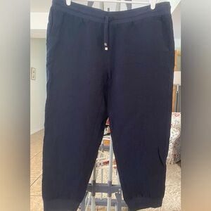 Jjill joggers size XL
